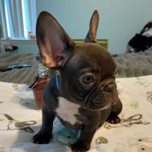 466798196_447483941706997_5356483100932117720_n